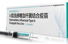 ��81���Ї����H�tˎԭ��ˎ/���g�w/���b/�O�佻�ו�