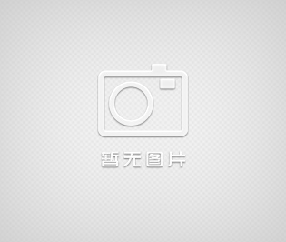 高壓可空轉直立耐酸堿泵浦 化工泵